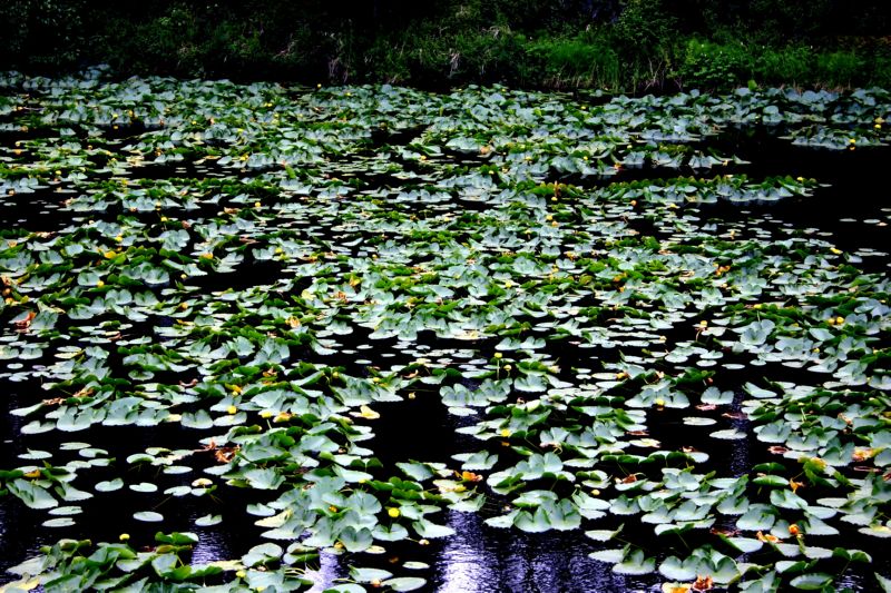 070304 Hope Seward Hope (10105)